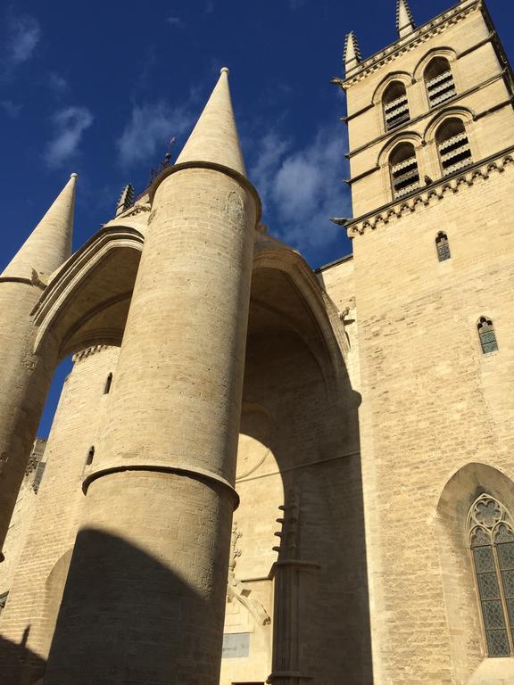 Appartement Vieille Intendance Montpellier Pokój zdjęcie