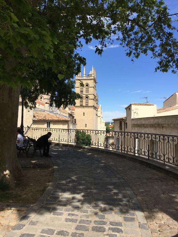 Appartement Vieille Intendance Montpellier Zewnętrze zdjęcie